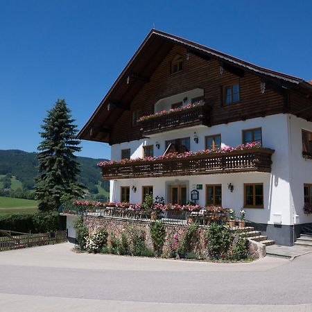 Bauernhof Kasleitner Villa เซลอัมมัวส์ ภายนอก รูปภาพ