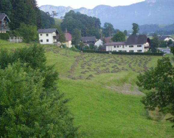 Bauernhof Kasleitner Villa เซลอัมมัวส์ ภายนอก รูปภาพ