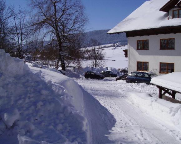 Bauernhof Kasleitner Villa เซลอัมมัวส์ ภายนอก รูปภาพ