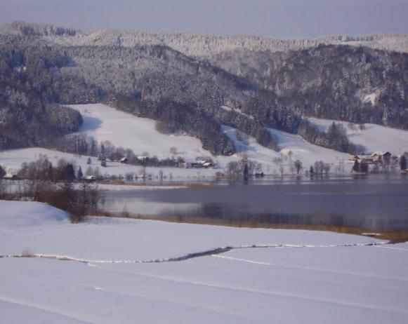 Bauernhof Kasleitner Villa เซลอัมมัวส์ ภายนอก รูปภาพ