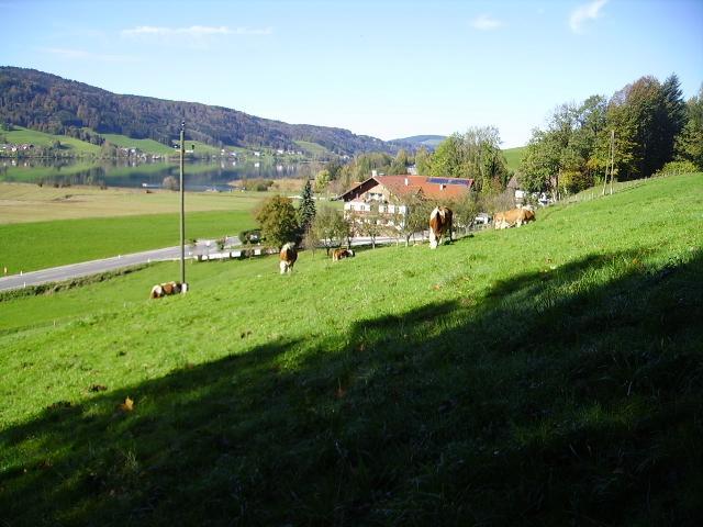 Bauernhof Kasleitner Villa เซลอัมมัวส์ ภายนอก รูปภาพ