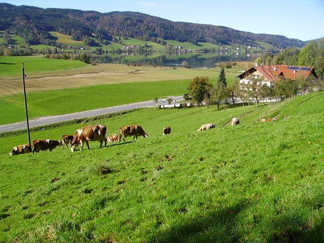 Bauernhof Kasleitner Villa เซลอัมมัวส์ ภายนอก รูปภาพ